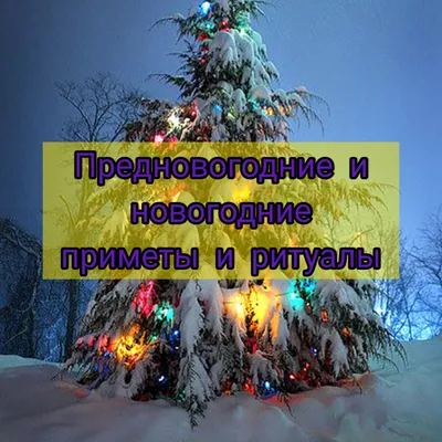 Волшебные предновогодние встречи в библиотеках нашего округа - Лента  новостей Херсона