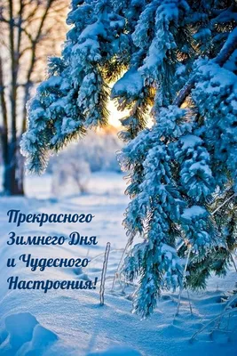 Пожелания хорошего дня в картинках, своими словами, в стихах, в смс и  христианские пожелания доброго дня — Украина