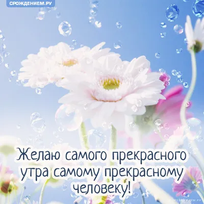 Сладости из Европы - Всем Желаю самого прекрасного и доброго утра с яркими  эмоциями и моментами вдохновения в душе. Пусть эта чудесная пора подарит  массу идей и задаст чудесный ритм на весь