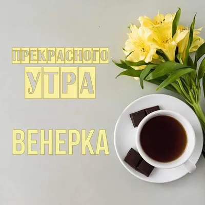 Картинка - Доброго утра, прекрасного дня.