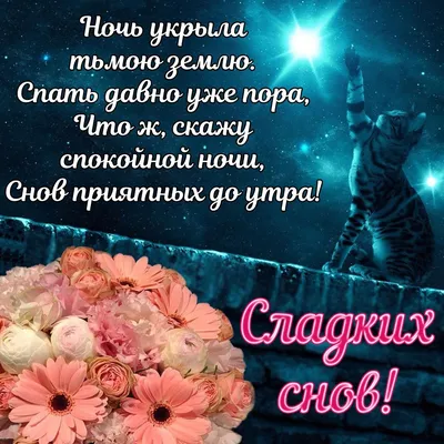 Спокойной ночи!🌃 Сладких снов! 🥱😴😘😘😘❤#спокойнойночи #сладкихснов... |  TikTok