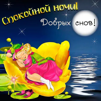 Спокойной ночи, приятных снов... | Пикабу