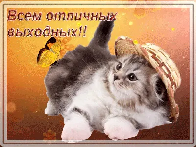 Открытки \"Хороших выходных!\" (253 шт.)