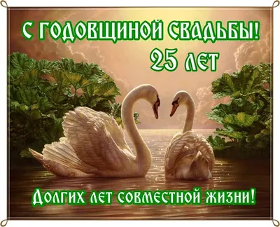 25 лет, годовщина свадьбы: поздравления, картинки - серебряная свадьба (12  фото) 🔥 Прикольные картинки и юмор