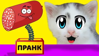 Прикольные картинки с надписями и родительский сейф | Mixnews