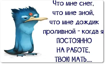 Когда мама кидает смешные картинки в вотсап)) | Пикабу