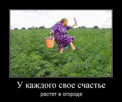 Сад и огород смешные картинки. Заряд позитива после работы в огороде 🌷🍅🍆  | Умный Фломастер | Дзен