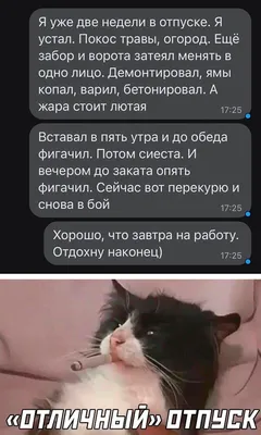 Демотиватор: У каждого свое счастье растет в огороде | Огород, Счастье,  Смешно