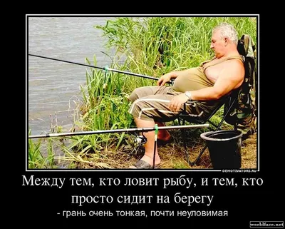 Весёлые картинки про зимнюю рыбалку.Funny pictures about winter fishing. -  YouTube