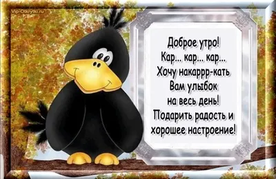 С самым добрым декабрьским утром! День отличный тебе предстоит. Сказка в  жизнь постучится, как будто. На … | Поздравительные открытки, Новогодние  открытки, Открытки