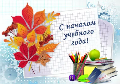 День знаний 1 сентября: лучшие, красивые и прикольные открытки с надписями  к празднику - МК Новосибирск