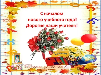 С началом нового учебного года!!! — обсуждение в группе \"Разговоры обо  всем\" | Птичка.ру