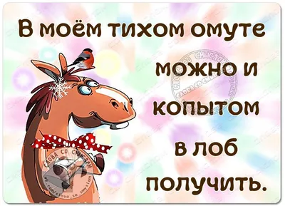 Прикольные статусы на все случаи жизни для социальных сетей: 50+ вариантов