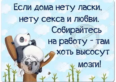 Смешные и нелепые резюме от людей, ищущих работу » Развлекательный портал  Sivator приколы, юмор, шутки, комиксы и т.д.