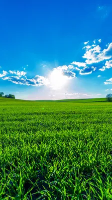 Desktop Wallpapers Summer Nature Sky Fields Scenery Clouds 1080x1920