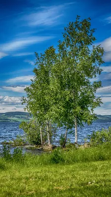 Desktop Wallpapers Norway Hedmark Summer Nature Sky Lake 1080x1920