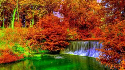 Wallpaper Foliage Allee Autumn Nature Parks Trees 600x800