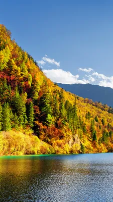 Pictures Jiuzhaigou park China Nature Autumn Mountains 1080x1920