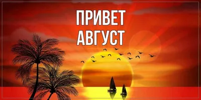 Идеи на тему «Август» (900+) | привет, август, цитаты про лето, открытки