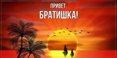 Открытка для любимых и родных Братишка Привет. Открытки на каждый день с  пожеланиями для родственников.