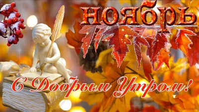 Доброе утро дорогие друзья! Сегодня понедельник, 1 ноября. Всем хорошего  дня и отличного настроения. Пусть новый месяц принесёт в нашу… | Instagram