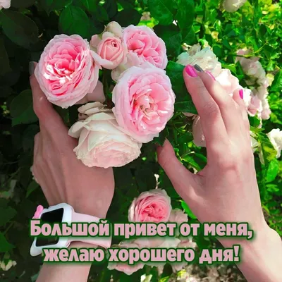 Привет,меня зовут Зауре. - #Доброе утро | Facebook