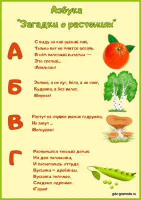 Проект азбука загадок 1 класс в картинках