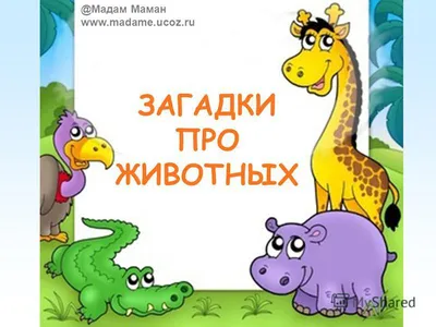 Загадки обо всем на свете. В деревне - Издательство «Планета»