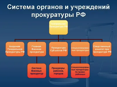 Евгений Куйвашев обратился к свердловчанам по случаю Дня работника  прокуратуры РФ: Общество: Облгазета