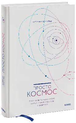 Глэмпинг Просто Лес — Россия, Ростовская область, Неклиновский район, село  Гаевка. Узнать стоимость проживания и забронировать Просто Лес можно на  Глэмпинг.рф