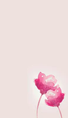 Pin by astronaut on Phone wallpapers | Pink flowers wallpaper, Pink  wallpaper iphone, Flower wallpaper