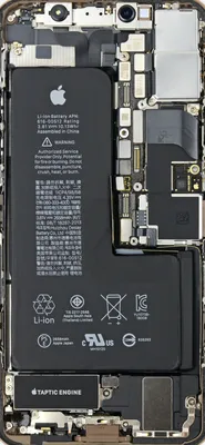 Новые обои iFixit покажут, что у iPhone 11 внутри