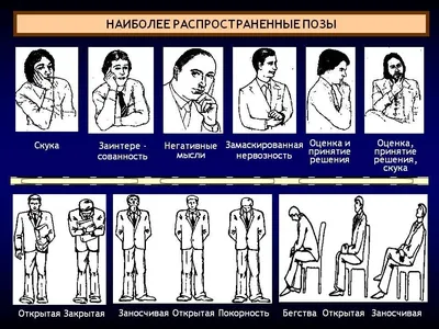 Язык тела: кратко и занимательно | Понемногу обо всём | Дзен