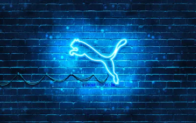 Puma Blue Wallpapers - Wallpaper Cave