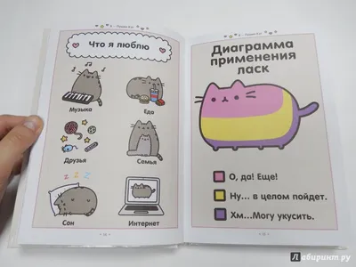 Встречайте, новая игрушка кот Пушин.😻Пушин Кэт – полосатая серая кошка,  которая в настоящее время живёт в Коннектикуте, у родителей её… | Instagram