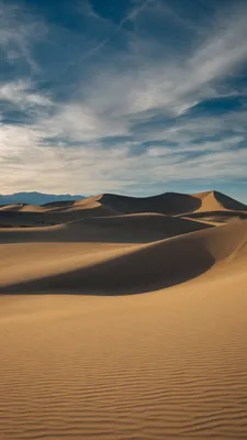 Закат в пустыне - обои на телефон бесплатно. | Puesta de sol en el  desierto, Puestas de sol, Camelus