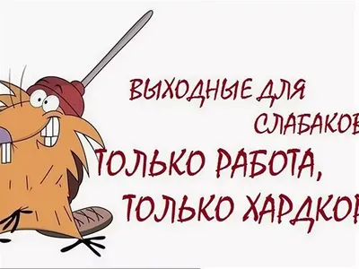 Как правильно составить резюме для устройства на работу 2023: примеры и  образцы