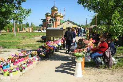 3 мая – Радоница: красивые открытки с надписями в день памяти - МК  Новосибирск