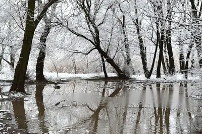 Тульские фотоистории: Ранняя весна в парке