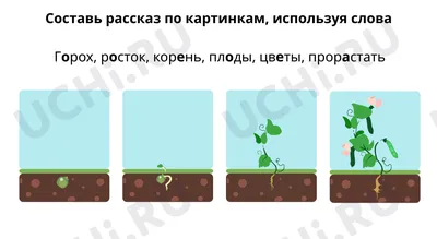 Конспект занятия по теме \"Составление рассказа по сюжетным картинкам\"