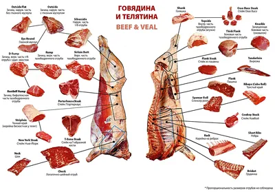 Разделка туши говядины и особенности кусков разруба. | ВКонтакте