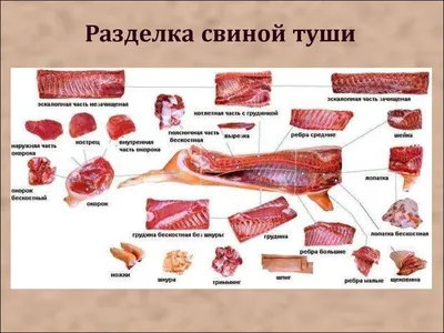 Мясо | Халал | Доставка | Алматы on Instagram: \"Лучший согым в Алматы с  доставкой на дом! 🐎🥩 ⠀ Вот и наступила зимняя пора, пора кушать согым! 😋  👉🏼 В сети магазинов