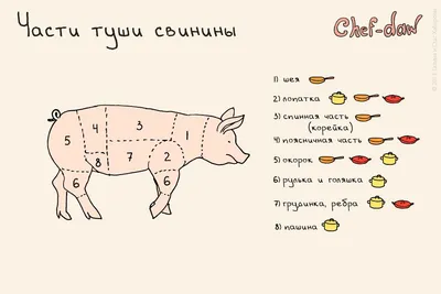 Отличие различных типов мясо - МЯСНОЙ КЛУБ: всё о технологиях, инновациях,  оборудовании, проблемах и решениях колбасного производства, мясопереработки  и заменителях мяса.