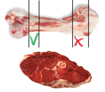 Как выглядит говяжий кострец