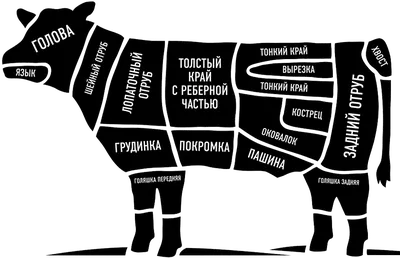 Первичная обработка мяса говядины презентация, доклад, проект