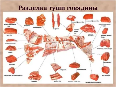 Иллюстратор широкого профиля должен уметь все... | Пикабу