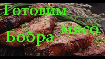 Мясо и его обработка - презентация онлайн