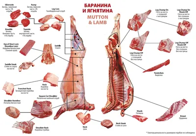 Как правильно готовить холодец из говядины?