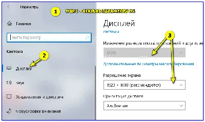 Как обрезать изображение и как задать ему требуемое разрешение —  Фотоконкурс ЗооПапарацци