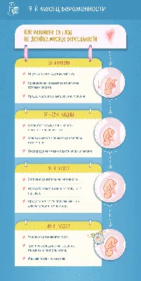 9-й месяц беременности: изменения в женском организме и развитие плода по  неделям – в картинках. - agulife.ru